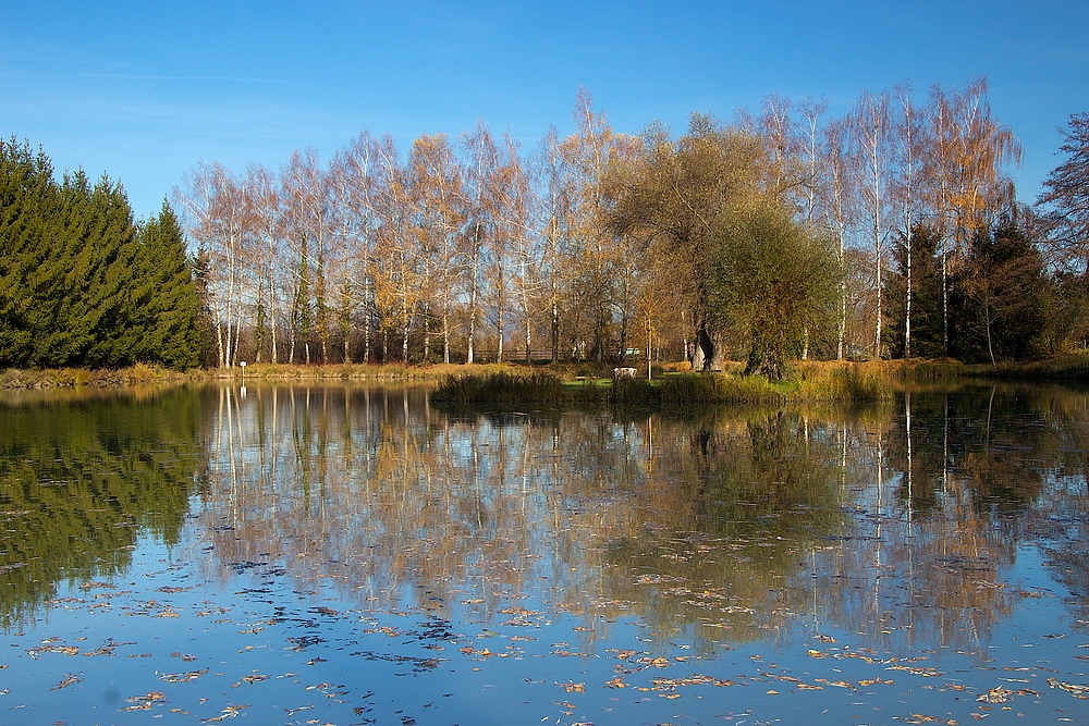 Petite Camargue 2