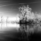 Petite Camargue de Alsacienne