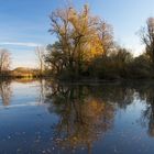 Petite Camargue1