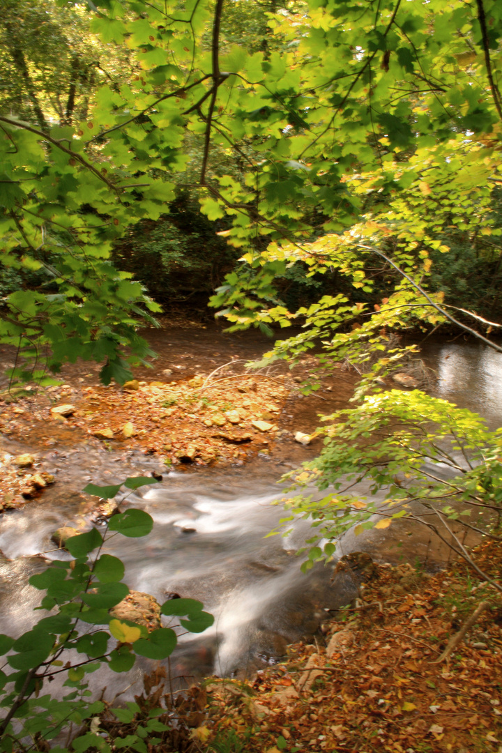 Petite cascade