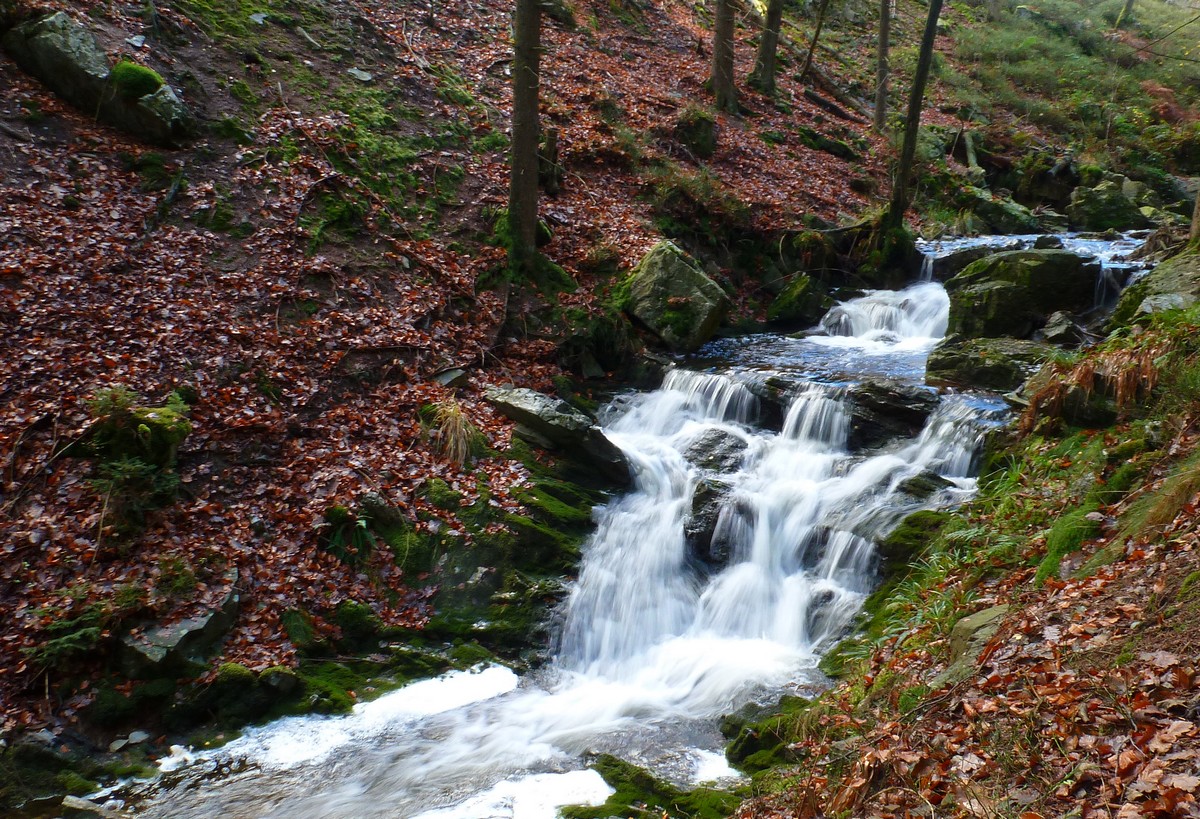 Petite cascade