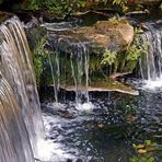 Petite cascade Bruxelloise.