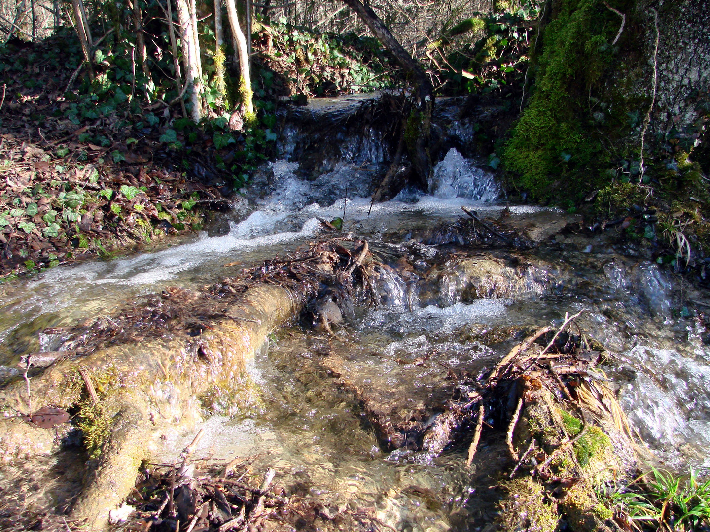 Petite cascade de février