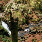 Petite cascade de Tendon à l'automne.