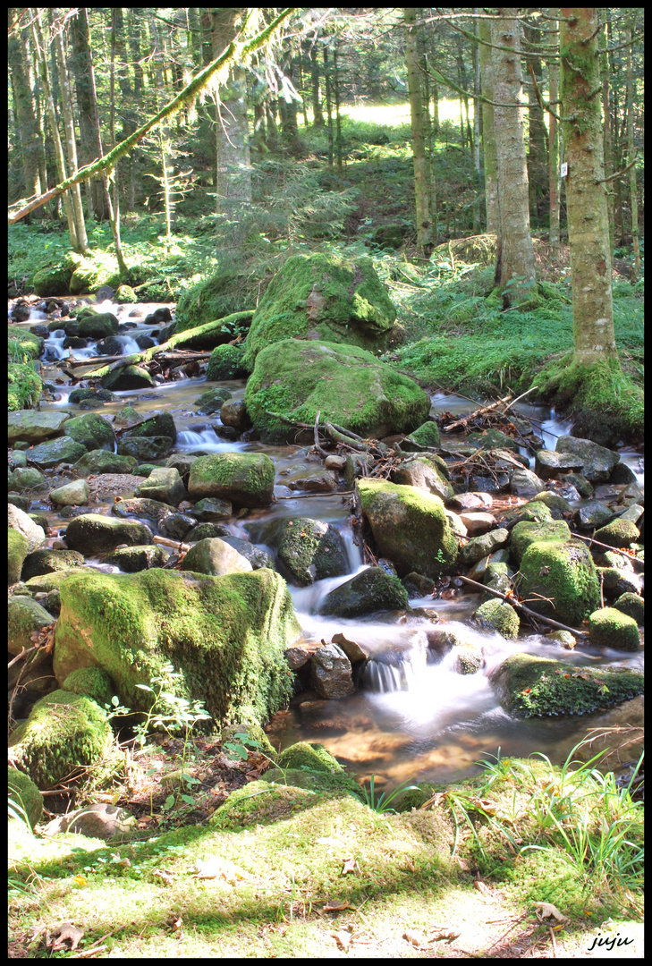 Petite cascade de Tendon