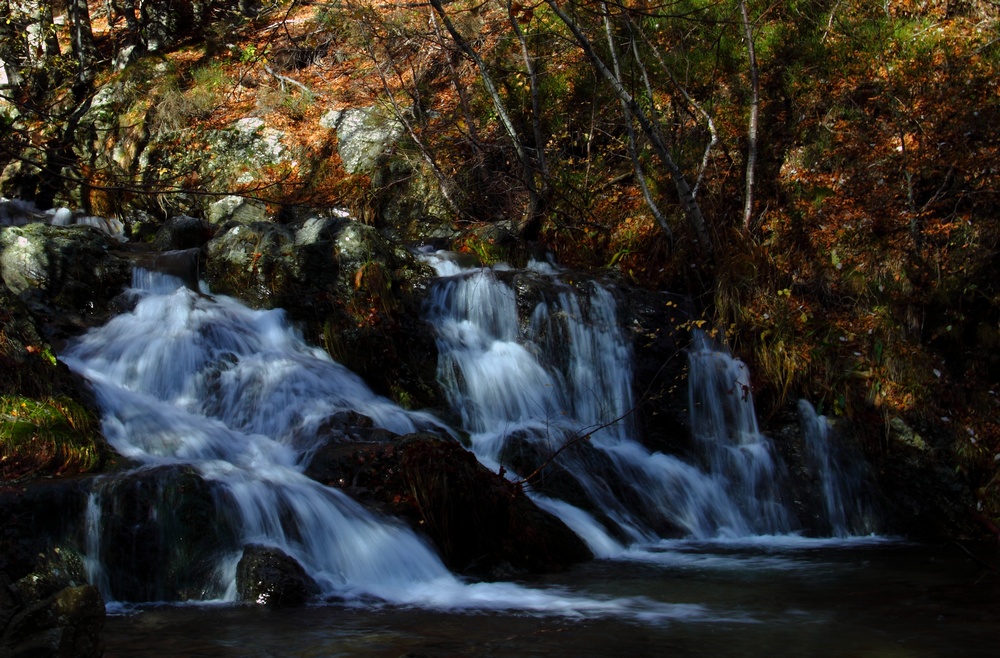 Petite cascade en cévennes