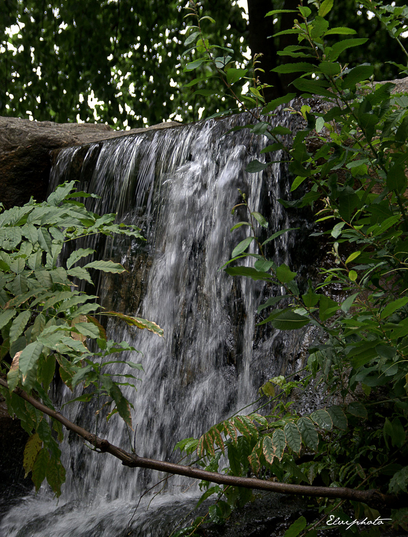 Petite cascade japonisante