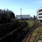 Petite Ceinture (2)