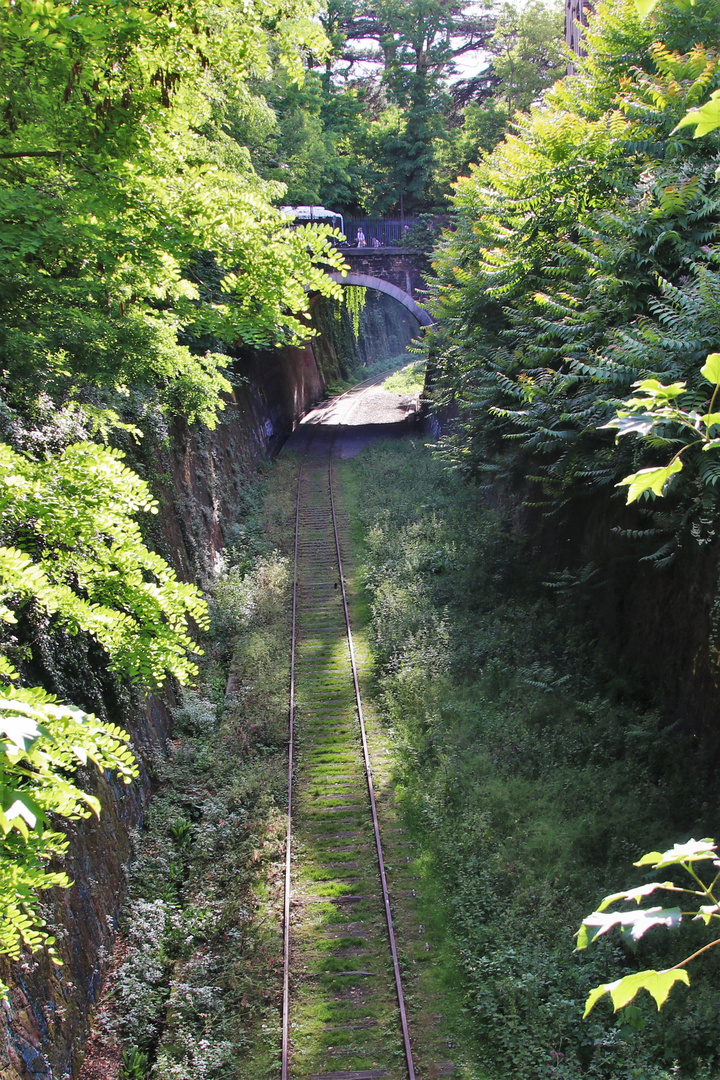 Petite Ceinture