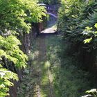 Petite Ceinture