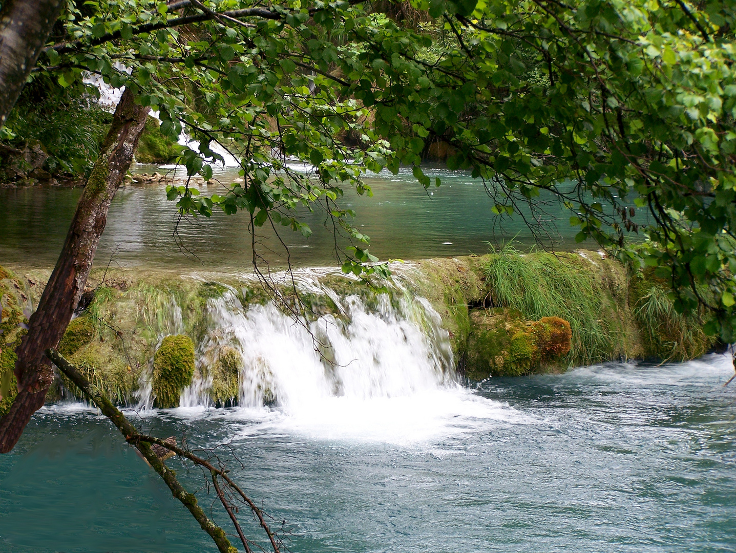 Petite chute d'eau