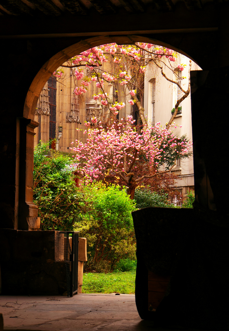 petite cour parisienne