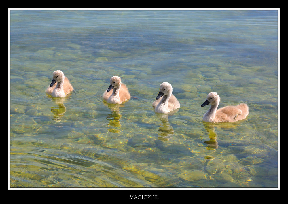 Petite famille...