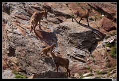 ...Petite famille...