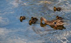 Petite famille 