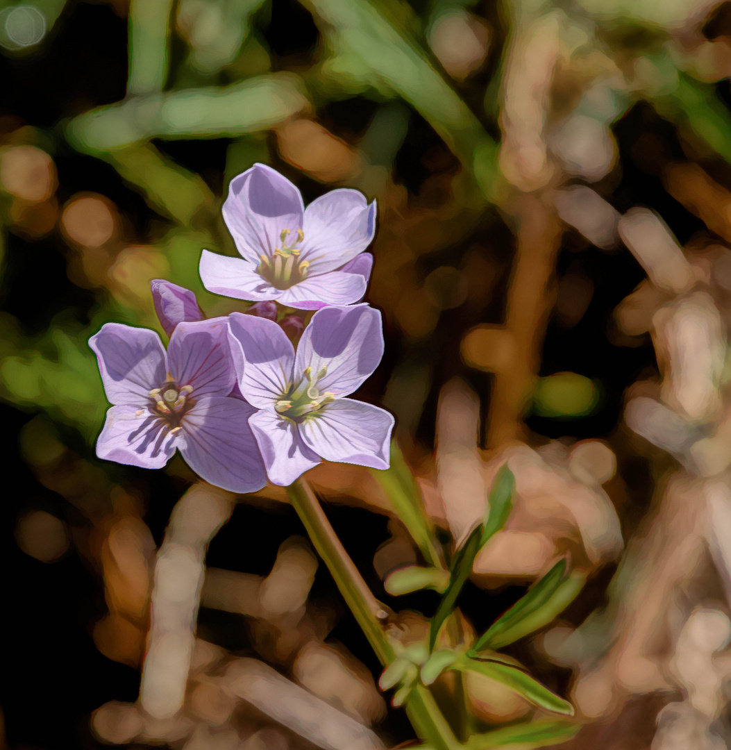 petite fleur