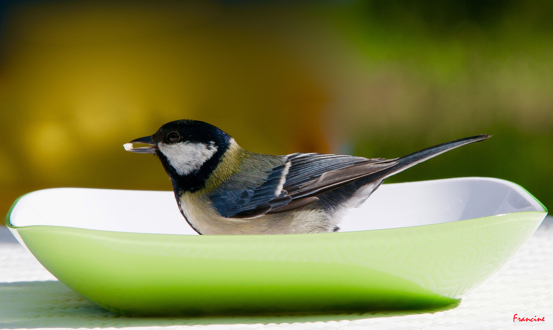 Petite gourmandise dans l'assiette ...