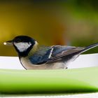 Petite gourmandise dans l'assiette ...