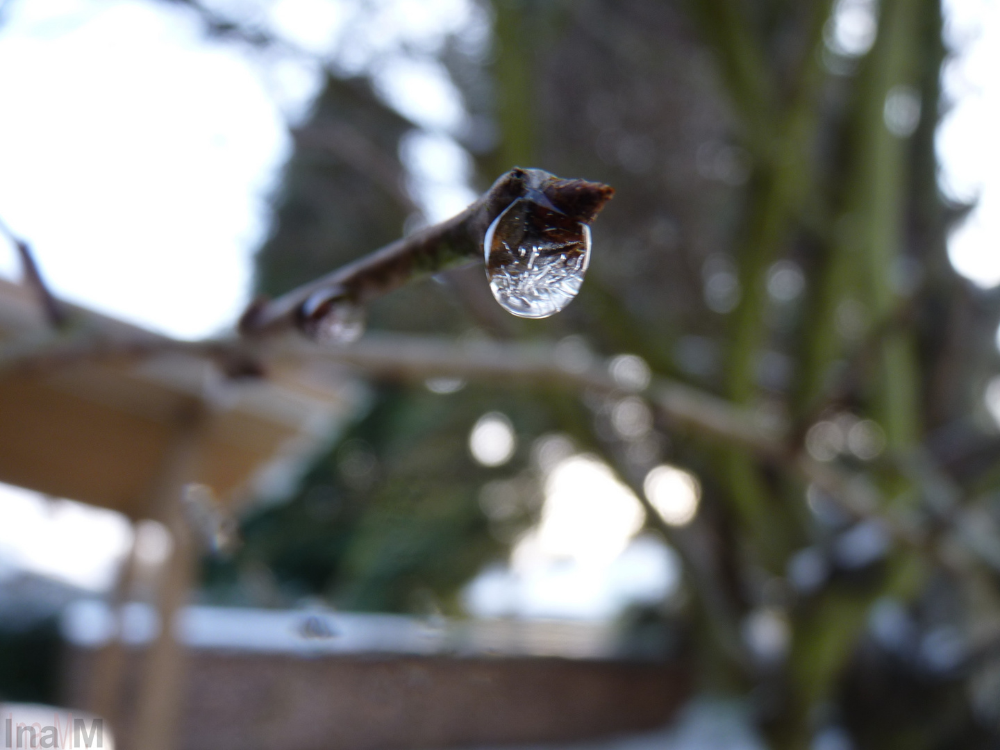 Petite Goutte D'eau ..