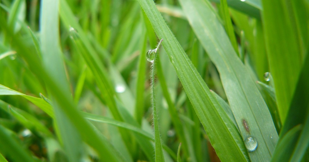 petite goutte en suspension