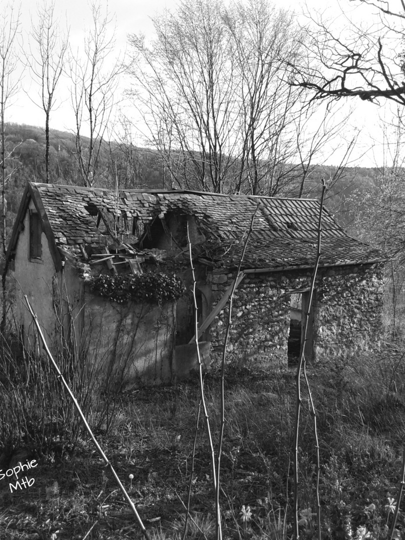 Petite maison abandonnée