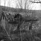 Petite maison abandonnée