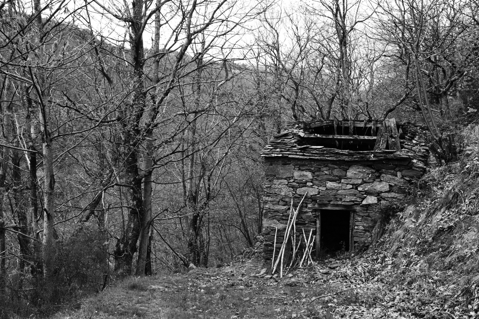 Petite maison abandonnée