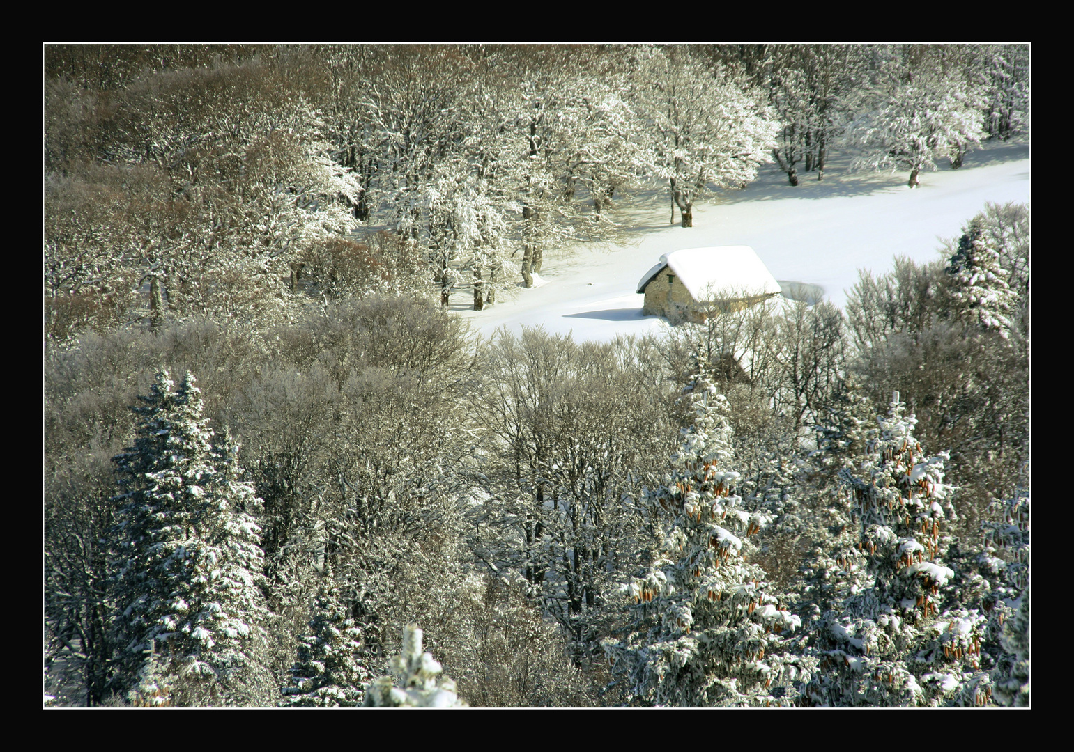 petite maison enneigée