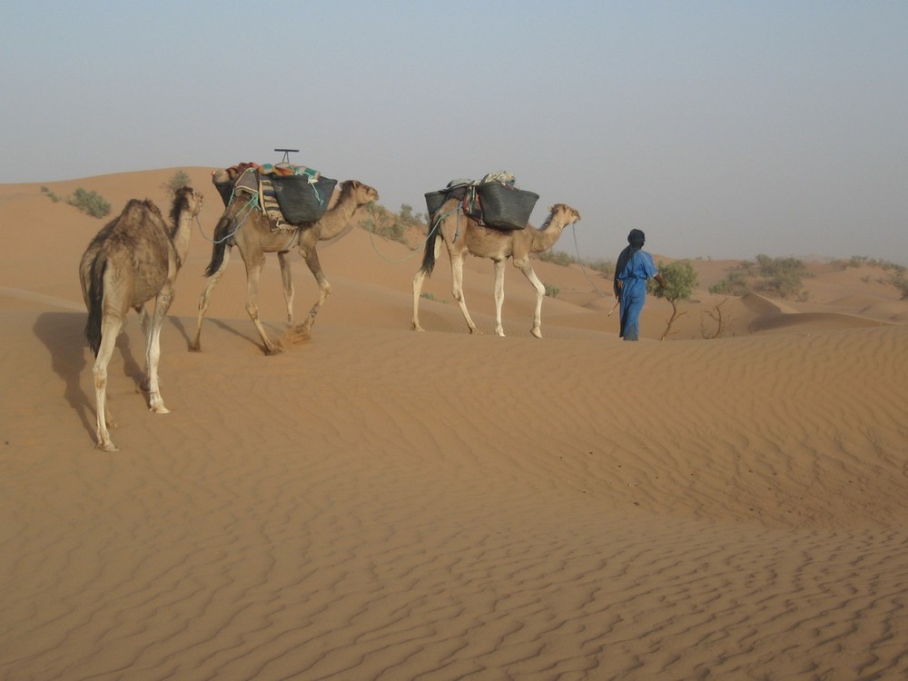 petite méharée dans le Sahara marocain 2