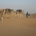 petite méharée dans le Sahara marocain 2