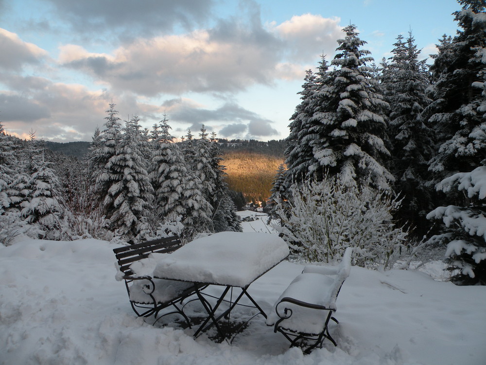 Petite pause en Forêt Noire.