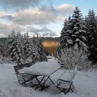 Petite pause en Forêt Noire.