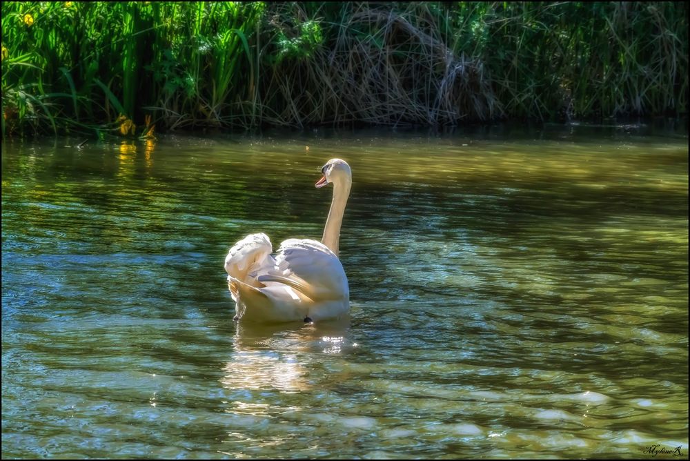 Petite promenade