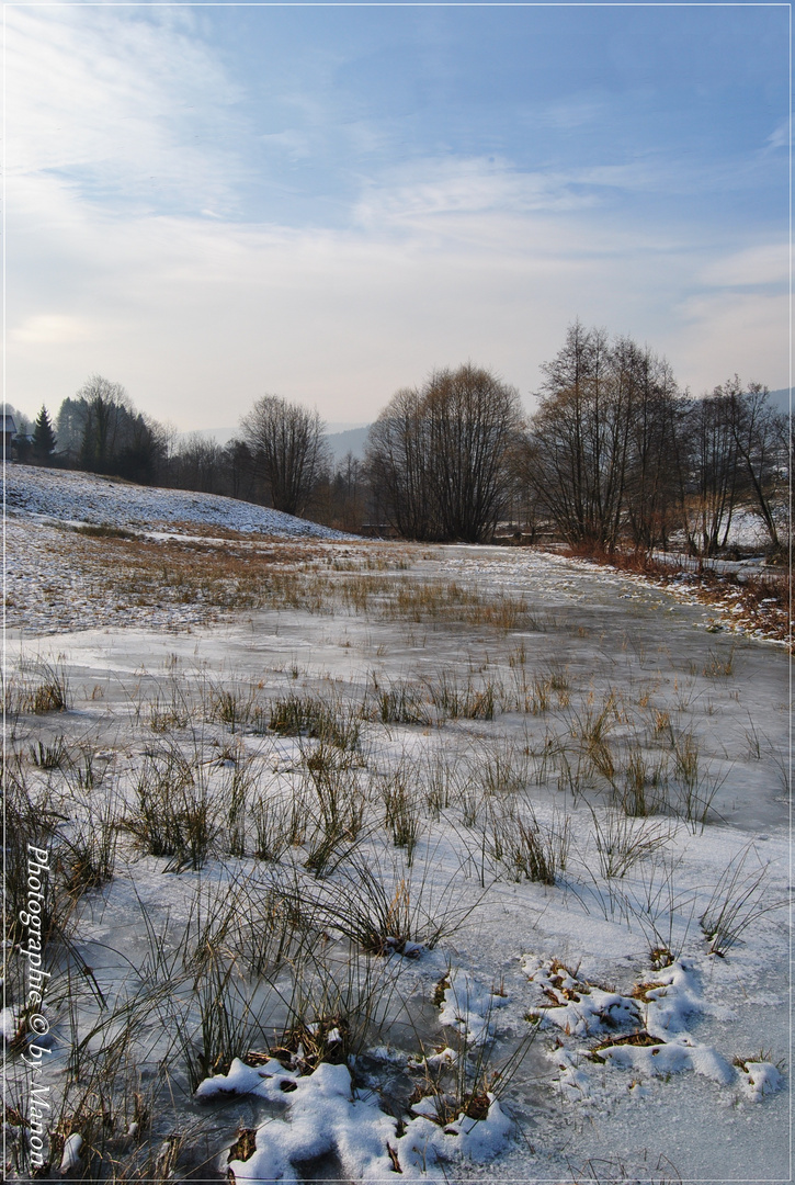 petite promenade dans le froid