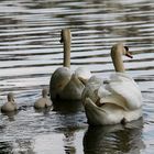 Petite promenade en famille!