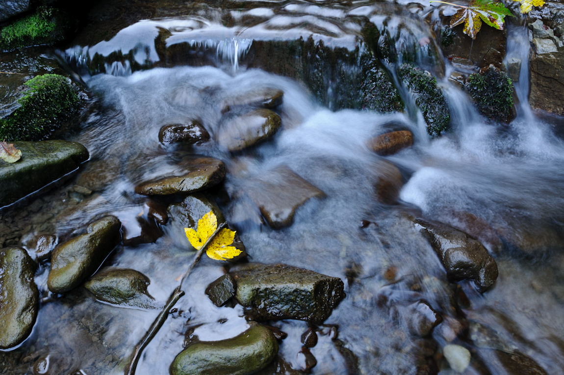 Petite rivière.