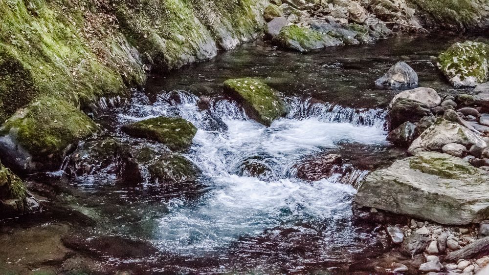 PETITE RIVIERE photo et image nature, rivière, paysages Images