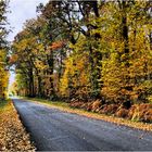 Petite route automnale dans la Vienne