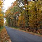 Petite route automnale dans la Vienne