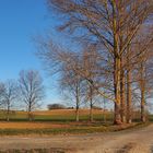 Petite route de campagne en hiver dans le Gers