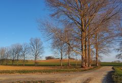 Petite route de campagne en hiver dans le Gers