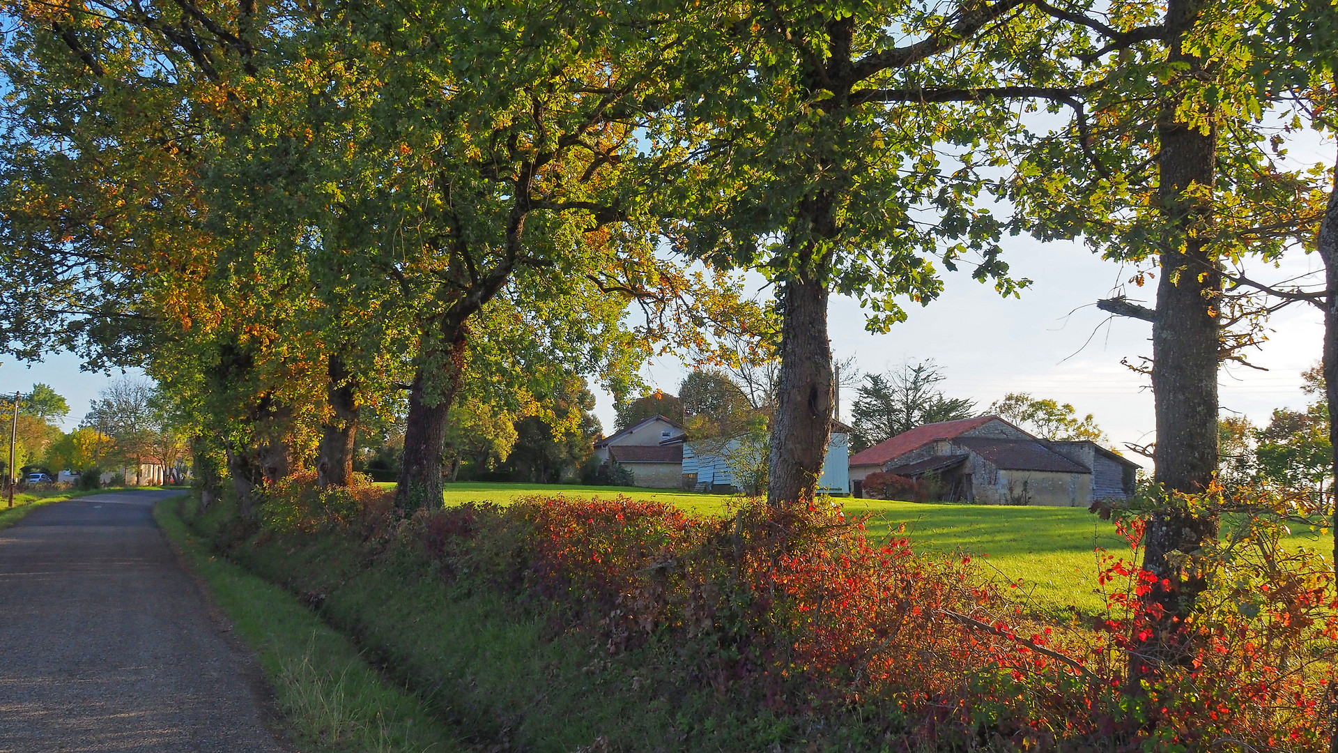 Petite route près de chez moi