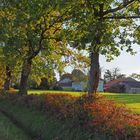 Petite route près de chez moi