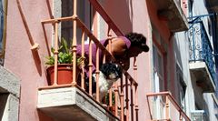 Petite rue de l'Alfama