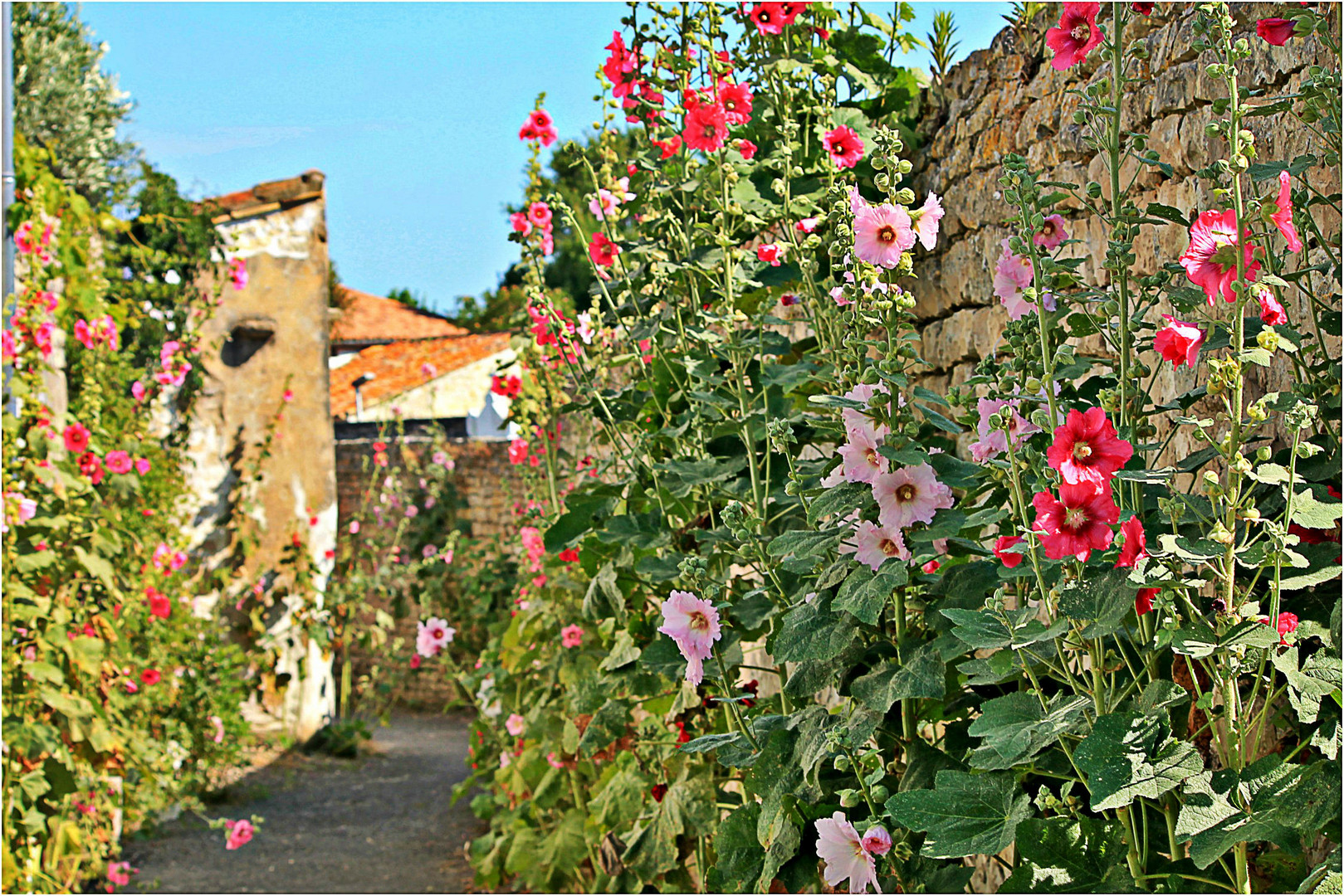 * Petite ruelle bien fleurie *