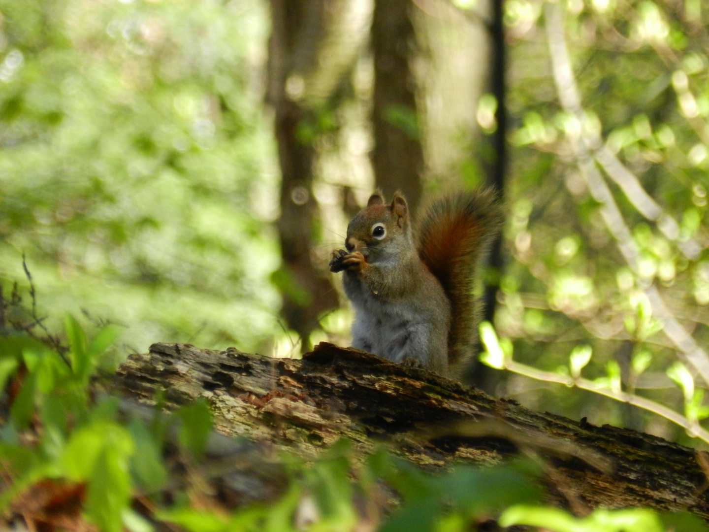 Petite visite ...