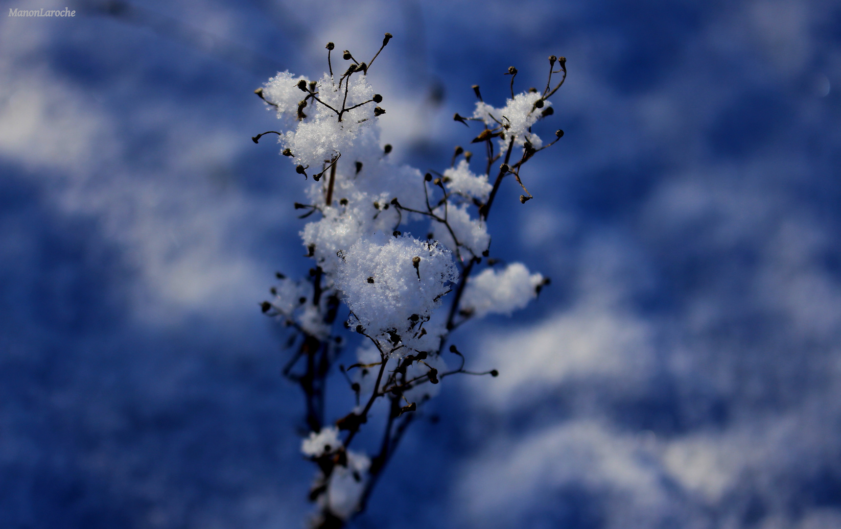 Petites boules de neige