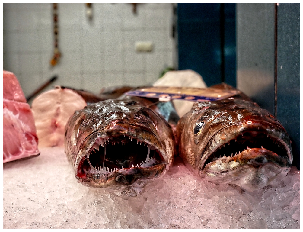 Petites dents de la mer