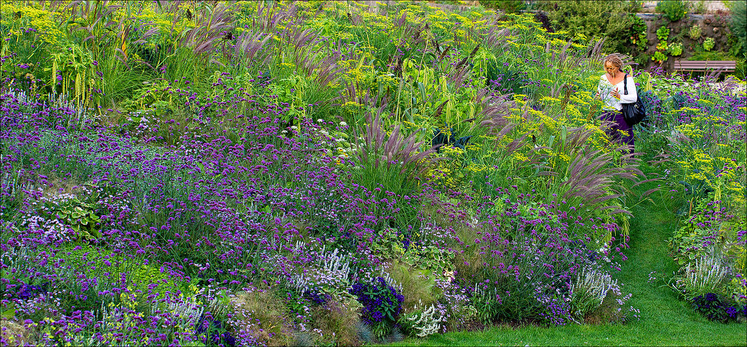 Petites fleurs