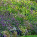 Petites fleurs